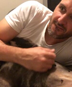 Connie Ballarini Instagram - Por siempre en mi corazón  India de mi vida 
💔💔💔💔💔
Quiero recordarte así riendo a carcajadas juntas pero hoy tengo el corazón destrozado…. sin entender, sin poder procesar todo esto tan repentino.  Por momentos siento q me voy a despertar de esta pesadilla y vas a estar ahí en mis pies acurrucada y roncando.  Hoy me desperté y no estabas y el vacío es enorme … Que falta me haces, que rara la vida sin vos, sin presentes pero con recuerdos hermosos q ahora me hacen llorar a lágrimas pero q dsp deseo de corazón q se vuelvan hermosos y llenos de amor y sonrisas.. porque eso es lo q me diste todos estos años.  Amor, un amor que no conocía y que fue el más hermoso que viví en la vida. 
Llegaste a mi vida cuando menos lo esperaba pero le diste sentido a todo… llegaste y me separé a los meses y fuiste mi compañera… luego ayer hablábamos con Fede que podríamos decir q por vos vino a vivir a casa ( para no dejarte solita tanto tiempo ) y así formamos una familia … si, vos lo hiciste… dsp como siempre con tu carisma y ese ángel hermoso que enamorabas a todos podríamos decir que enamoraste a Fede y hasta admito (y me la banco) q quieras más a Fede q a mi jajaja… yo decía ahí viene tu novio xq llegaba él y no había nada más en tu mundo… pero te amo tanto que no me importa nada y amaba que lo amarás más el… tal vez xq era tu CHEFF personal entre otras cosas!? Puede ser, y lo entiendo hijita … como no entenderte la comida rica nos puede como todas taurinas
)Hoy sería tu cumpleaños… quedaron los bonetes del cumple de Troyi ahí para tu festejo 🥹 q no será acá pero ojalá estés robándole la comida a todos los perritos en el cielo, agarrando pelotitas y tirándote los peditos más hermosos del universo. Que el cielo se llene de peditos tuyos. 
No pasó ni un día y esto se pone difícil mi amor….
Lo q te extrañamos, lo q te necesito…. Llegaste de manera sorpresiva y te fuiste igual xq nunca imaginé que iba a ser así tan rápido, de repente xq para mí estabas bien, viejita pero te la re bancabas … perdón mi amor si cometí algún error, no quise dejarte solita en la internacion… sabes q quería meterme en la jaulita con vos si era posible. 
…( sigue abajo )