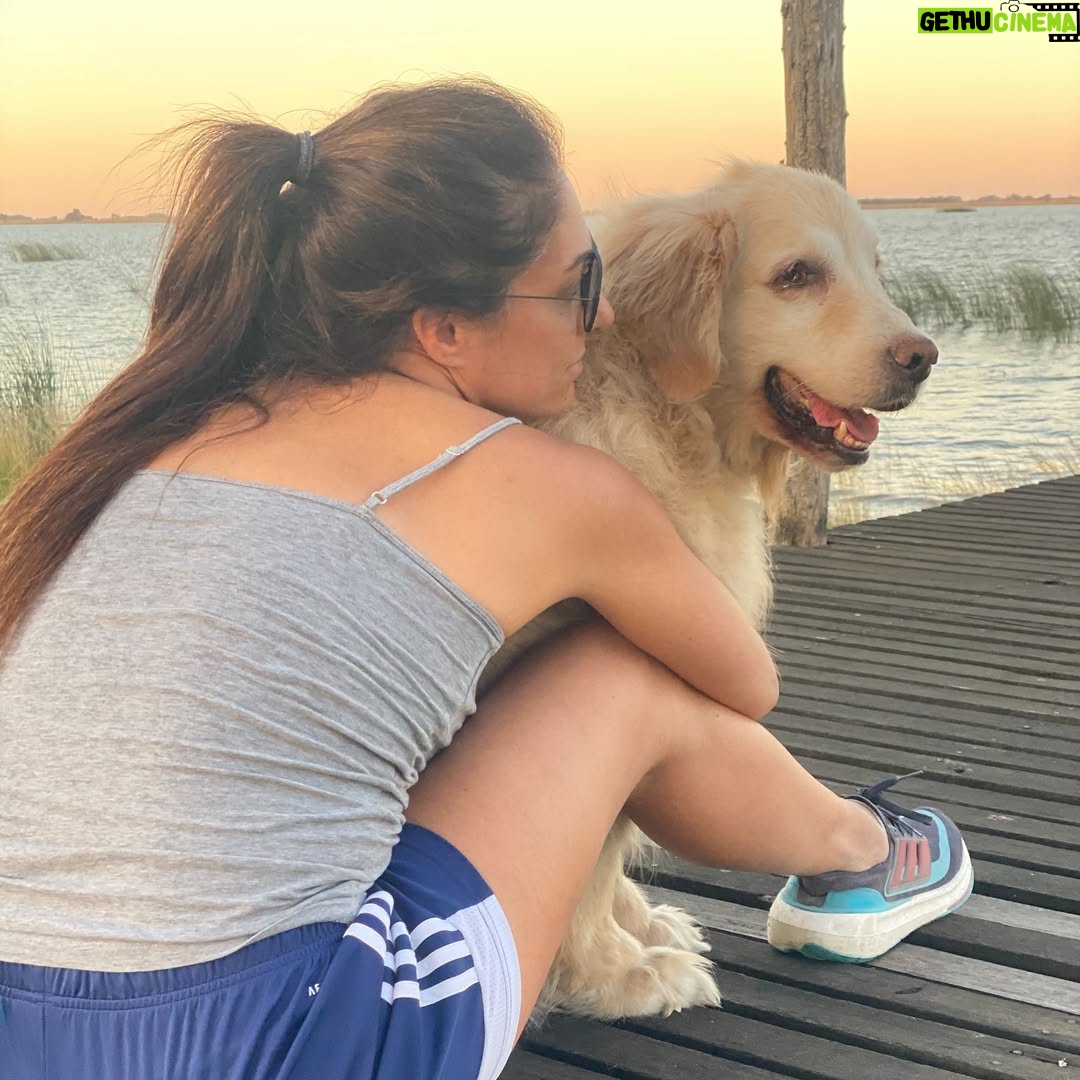 Connie Ballarini - 100.3K Likes - Se me fue Troyita, la reina de la dulzura… 
Nunca conocí perrita más buena y dulce que vos Troyita hermosa 
Pasó un día de tu partida y yo no puedo más de tristeza, de extrañarte… no sé cómo hacer, te sigo buscando, te sigo encontrando en la casa con tus pelitos, en tus juguetes, tu camita, en tu mantita con tu olorcito 🥹
Es muy loco como pasaste a ser la perra de la familia ( porque eras la perrita de mi mamá q yo veía de vez en cuando cuando iba a la casa de la abuela o de mi vieja a ser MI FAMILIA 
Agradezco a la vida haberte tenido en mi vida, haberte disfrutado y cuidado. Aprendí lo lindo que se siente cuidar de otro ser y darlo todo para q esté bien 
Cuando la semana pasada en los días de chequeo Lau tu Veterinaria @veterinaria.manoba mientras te auscultaba y yo te agarraba la cabecita y te daba besitos para q no tengas miedo me dijo ‘ ay como te ama, no sabes cómo se le acelera el corazón cuando le das un beso’ … a mi se me estrujo el corazón mi bebita dulce y me pasaba lo mismo cuando me mirabas mi corazón se derretía 
Tengo el corazón destrozado pero como me dijo Lau TU Vet ayer cuando partiste, como el arte japonés hay q unir nuestro corazón roto con el amor que ellos nos dejan… y no somos los mismos.. seremos mejores por el paso de ellos en nuestras vidas 
Gracias por pasar por mi vida Troyi y volverla más dulce, más simple, más amorosa…. 
Pensé q te ibas en Enero, te lloré todo enero pero no, la peleaste y seguiste dándolo todo y todo era día a día … me enseñaste a agradecer cada momento juntas, a disfrutar del estar, de una caricia, de dar una vueltita a la manzana, todo lo cotidiano, lo ordinario me enseñaste a q sea extraordinario y q la vida es eso.. cada momento es extraordinario y me llenaron de felicidad a pesar del dolor … x tantos momentos juntas vividos que quedarán para siempre en mi corazón 
Si hay un cielo de perritos, ahí está yendo la más dulce de todas, recibanla con amor, con masajitos y con churrasquitos bien jugosos como le gustan a ella … ah y q no llueva xq le da miedito 🥹 
Te amamos por siemore tu familia India, @fedesimonetti , Egipto ( aunque viva donde quiera en el edificio) y yo tu mamá de los últimos años
🫶