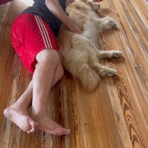 Connie Ballarini Instagram - Se me fue Troyita, la reina de la dulzura… 
Nunca conocí perrita más buena y dulce que vos Troyita hermosa 
Pasó un día de tu partida y yo no puedo más de tristeza, de extrañarte… no sé cómo hacer, te sigo buscando, te sigo encontrando en la casa con tus pelitos, en tus juguetes, tu camita, en tu mantita con tu olorcito 🥹
Es muy loco como pasaste a ser la perra de la familia ( porque eras la perrita de mi mamá q yo veía de vez en cuando cuando iba a la casa de la abuela o de mi vieja a ser MI FAMILIA 
Agradezco a la vida haberte tenido en mi vida, haberte disfrutado y cuidado. Aprendí lo lindo que se siente cuidar de otro ser y darlo todo para q esté bien 
Cuando la semana pasada en los días de chequeo Lau tu Veterinaria @veterinaria.manoba mientras te auscultaba y yo te agarraba la cabecita y te daba besitos para q no tengas miedo me dijo ‘ ay como te ama, no sabes cómo se le acelera el corazón cuando le das un beso’ … a mi se me estrujo el corazón mi bebita dulce y me pasaba lo mismo cuando me mirabas mi corazón se derretía 
Tengo el corazón destrozado pero como me dijo Lau TU Vet ayer cuando partiste, como el arte japonés hay q unir nuestro corazón roto con el amor que ellos nos dejan… y no somos los mismos.. seremos mejores por el paso de ellos en nuestras vidas 
Gracias por pasar por mi vida Troyi y volverla más dulce, más simple, más amorosa…. 
Pensé q te ibas en Enero, te lloré todo enero pero no, la peleaste y seguiste dándolo todo y todo era día a día … me enseñaste a agradecer cada momento juntas, a disfrutar del estar, de una caricia, de dar una vueltita a la manzana, todo lo cotidiano, lo ordinario me enseñaste a q sea extraordinario y q la vida es eso.. cada momento es extraordinario y me llenaron de felicidad a pesar del dolor … x tantos momentos juntas vividos que quedarán para siempre en mi corazón 
Si hay un cielo de perritos, ahí está yendo la más dulce de todas, recibanla con amor, con masajitos y con churrasquitos bien jugosos como le gustan a ella … ah y q no llueva xq le da miedito 🥹 
Te amamos por siemore tu familia India, @fedesimonetti , Egipto ( aunque viva donde quiera en el edificio) y yo tu mamá de los últimos años
🫶