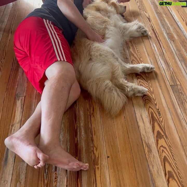 Connie Ballarini - 100.3K Likes - Se me fue Troyita, la reina de la dulzura… 
Nunca conocí perrita más buena y dulce que vos Troyita hermosa 
Pasó un día de tu partida y yo no puedo más de tristeza, de extrañarte… no sé cómo hacer, te sigo buscando, te sigo encontrando en la casa con tus pelitos, en tus juguetes, tu camita, en tu mantita con tu olorcito 🥹
Es muy loco como pasaste a ser la perra de la familia ( porque eras la perrita de mi mamá q yo veía de vez en cuando cuando iba a la casa de la abuela o de mi vieja a ser MI FAMILIA 
Agradezco a la vida haberte tenido en mi vida, haberte disfrutado y cuidado. Aprendí lo lindo que se siente cuidar de otro ser y darlo todo para q esté bien 
Cuando la semana pasada en los días de chequeo Lau tu Veterinaria @veterinaria.manoba mientras te auscultaba y yo te agarraba la cabecita y te daba besitos para q no tengas miedo me dijo ‘ ay como te ama, no sabes cómo se le acelera el corazón cuando le das un beso’ … a mi se me estrujo el corazón mi bebita dulce y me pasaba lo mismo cuando me mirabas mi corazón se derretía 
Tengo el corazón destrozado pero como me dijo Lau TU Vet ayer cuando partiste, como el arte japonés hay q unir nuestro corazón roto con el amor que ellos nos dejan… y no somos los mismos.. seremos mejores por el paso de ellos en nuestras vidas 
Gracias por pasar por mi vida Troyi y volverla más dulce, más simple, más amorosa…. 
Pensé q te ibas en Enero, te lloré todo enero pero no, la peleaste y seguiste dándolo todo y todo era día a día … me enseñaste a agradecer cada momento juntas, a disfrutar del estar, de una caricia, de dar una vueltita a la manzana, todo lo cotidiano, lo ordinario me enseñaste a q sea extraordinario y q la vida es eso.. cada momento es extraordinario y me llenaron de felicidad a pesar del dolor … x tantos momentos juntas vividos que quedarán para siempre en mi corazón 
Si hay un cielo de perritos, ahí está yendo la más dulce de todas, recibanla con amor, con masajitos y con churrasquitos bien jugosos como le gustan a ella … ah y q no llueva xq le da miedito 🥹 
Te amamos por siemore tu familia India, @fedesimonetti , Egipto ( aunque viva donde quiera en el edificio) y yo tu mamá de los últimos años
🫶