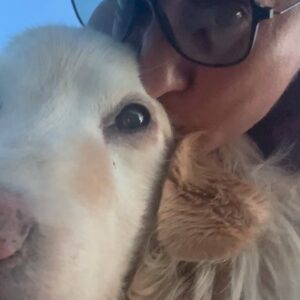 Connie Ballarini Instagram - Se me fue Troyita, la reina de la dulzura… 
Nunca conocí perrita más buena y dulce que vos Troyita hermosa 
Pasó un día de tu partida y yo no puedo más de tristeza, de extrañarte… no sé cómo hacer, te sigo buscando, te sigo encontrando en la casa con tus pelitos, en tus juguetes, tu camita, en tu mantita con tu olorcito 🥹
Es muy loco como pasaste a ser la perra de la familia ( porque eras la perrita de mi mamá q yo veía de vez en cuando cuando iba a la casa de la abuela o de mi vieja a ser MI FAMILIA 
Agradezco a la vida haberte tenido en mi vida, haberte disfrutado y cuidado. Aprendí lo lindo que se siente cuidar de otro ser y darlo todo para q esté bien 
Cuando la semana pasada en los días de chequeo Lau tu Veterinaria @veterinaria.manoba mientras te auscultaba y yo te agarraba la cabecita y te daba besitos para q no tengas miedo me dijo ‘ ay como te ama, no sabes cómo se le acelera el corazón cuando le das un beso’ … a mi se me estrujo el corazón mi bebita dulce y me pasaba lo mismo cuando me mirabas mi corazón se derretía 
Tengo el corazón destrozado pero como me dijo Lau TU Vet ayer cuando partiste, como el arte japonés hay q unir nuestro corazón roto con el amor que ellos nos dejan… y no somos los mismos.. seremos mejores por el paso de ellos en nuestras vidas 
Gracias por pasar por mi vida Troyi y volverla más dulce, más simple, más amorosa…. 
Pensé q te ibas en Enero, te lloré todo enero pero no, la peleaste y seguiste dándolo todo y todo era día a día … me enseñaste a agradecer cada momento juntas, a disfrutar del estar, de una caricia, de dar una vueltita a la manzana, todo lo cotidiano, lo ordinario me enseñaste a q sea extraordinario y q la vida es eso.. cada momento es extraordinario y me llenaron de felicidad a pesar del dolor … x tantos momentos juntas vividos que quedarán para siempre en mi corazón 
Si hay un cielo de perritos, ahí está yendo la más dulce de todas, recibanla con amor, con masajitos y con churrasquitos bien jugosos como le gustan a ella … ah y q no llueva xq le da miedito 🥹 
Te amamos por siemore tu familia India, @fedesimonetti , Egipto ( aunque viva donde quiera en el edificio) y yo tu mamá de los últimos años
🫶