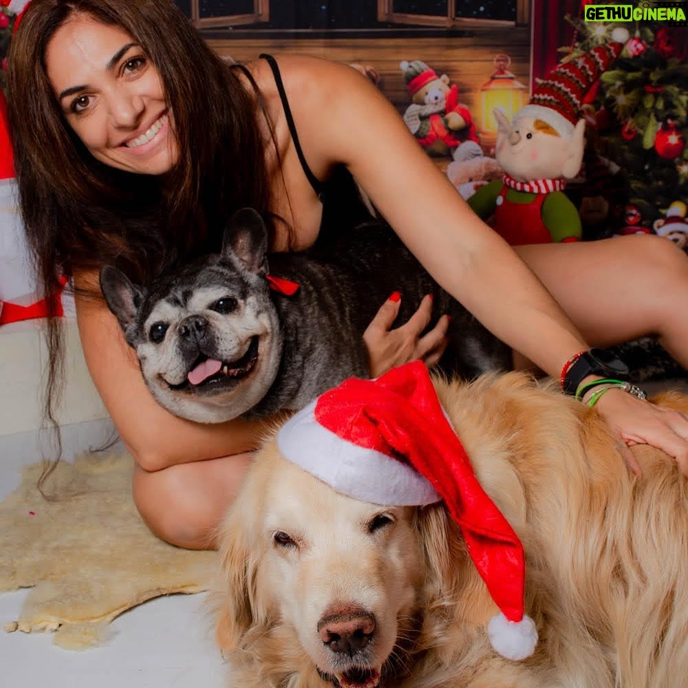 Connie Ballarini - 100.3K Likes - Se me fue Troyita, la reina de la dulzura… 
Nunca conocí perrita más buena y dulce que vos Troyita hermosa 
Pasó un día de tu partida y yo no puedo más de tristeza, de extrañarte… no sé cómo hacer, te sigo buscando, te sigo encontrando en la casa con tus pelitos, en tus juguetes, tu camita, en tu mantita con tu olorcito 🥹
Es muy loco como pasaste a ser la perra de la familia ( porque eras la perrita de mi mamá q yo veía de vez en cuando cuando iba a la casa de la abuela o de mi vieja a ser MI FAMILIA 
Agradezco a la vida haberte tenido en mi vida, haberte disfrutado y cuidado. Aprendí lo lindo que se siente cuidar de otro ser y darlo todo para q esté bien 
Cuando la semana pasada en los días de chequeo Lau tu Veterinaria @veterinaria.manoba mientras te auscultaba y yo te agarraba la cabecita y te daba besitos para q no tengas miedo me dijo ‘ ay como te ama, no sabes cómo se le acelera el corazón cuando le das un beso’ … a mi se me estrujo el corazón mi bebita dulce y me pasaba lo mismo cuando me mirabas mi corazón se derretía 
Tengo el corazón destrozado pero como me dijo Lau TU Vet ayer cuando partiste, como el arte japonés hay q unir nuestro corazón roto con el amor que ellos nos dejan… y no somos los mismos.. seremos mejores por el paso de ellos en nuestras vidas 
Gracias por pasar por mi vida Troyi y volverla más dulce, más simple, más amorosa…. 
Pensé q te ibas en Enero, te lloré todo enero pero no, la peleaste y seguiste dándolo todo y todo era día a día … me enseñaste a agradecer cada momento juntas, a disfrutar del estar, de una caricia, de dar una vueltita a la manzana, todo lo cotidiano, lo ordinario me enseñaste a q sea extraordinario y q la vida es eso.. cada momento es extraordinario y me llenaron de felicidad a pesar del dolor … x tantos momentos juntas vividos que quedarán para siempre en mi corazón 
Si hay un cielo de perritos, ahí está yendo la más dulce de todas, recibanla con amor, con masajitos y con churrasquitos bien jugosos como le gustan a ella … ah y q no llueva xq le da miedito 🥹 
Te amamos por siemore tu familia India, @fedesimonetti , Egipto ( aunque viva donde quiera en el edificio) y yo tu mamá de los últimos años
🫶