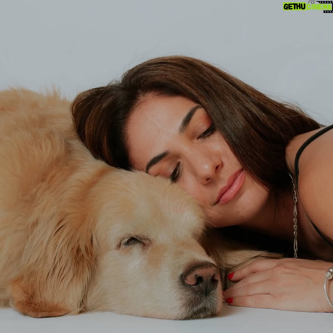 Connie Ballarini - 100.3K Likes - Se me fue Troyita, la reina de la dulzura… 
Nunca conocí perrita más buena y dulce que vos Troyita hermosa 
Pasó un día de tu partida y yo no puedo más de tristeza, de extrañarte… no sé cómo hacer, te sigo buscando, te sigo encontrando en la casa con tus pelitos, en tus juguetes, tu camita, en tu mantita con tu olorcito 🥹
Es muy loco como pasaste a ser la perra de la familia ( porque eras la perrita de mi mamá q yo veía de vez en cuando cuando iba a la casa de la abuela o de mi vieja a ser MI FAMILIA 
Agradezco a la vida haberte tenido en mi vida, haberte disfrutado y cuidado. Aprendí lo lindo que se siente cuidar de otro ser y darlo todo para q esté bien 
Cuando la semana pasada en los días de chequeo Lau tu Veterinaria @veterinaria.manoba mientras te auscultaba y yo te agarraba la cabecita y te daba besitos para q no tengas miedo me dijo ‘ ay como te ama, no sabes cómo se le acelera el corazón cuando le das un beso’ … a mi se me estrujo el corazón mi bebita dulce y me pasaba lo mismo cuando me mirabas mi corazón se derretía 
Tengo el corazón destrozado pero como me dijo Lau TU Vet ayer cuando partiste, como el arte japonés hay q unir nuestro corazón roto con el amor que ellos nos dejan… y no somos los mismos.. seremos mejores por el paso de ellos en nuestras vidas 
Gracias por pasar por mi vida Troyi y volverla más dulce, más simple, más amorosa…. 
Pensé q te ibas en Enero, te lloré todo enero pero no, la peleaste y seguiste dándolo todo y todo era día a día … me enseñaste a agradecer cada momento juntas, a disfrutar del estar, de una caricia, de dar una vueltita a la manzana, todo lo cotidiano, lo ordinario me enseñaste a q sea extraordinario y q la vida es eso.. cada momento es extraordinario y me llenaron de felicidad a pesar del dolor … x tantos momentos juntas vividos que quedarán para siempre en mi corazón 
Si hay un cielo de perritos, ahí está yendo la más dulce de todas, recibanla con amor, con masajitos y con churrasquitos bien jugosos como le gustan a ella … ah y q no llueva xq le da miedito 🥹 
Te amamos por siemore tu familia India, @fedesimonetti , Egipto ( aunque viva donde quiera en el edificio) y yo tu mamá de los últimos años
🫶