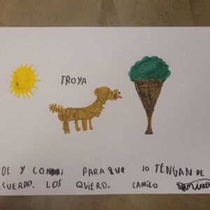 Connie Ballarini Instagram - Se me fue Troyita, la reina de la dulzura… 
Nunca conocí perrita más buena y dulce que vos Troyita hermosa 
Pasó un día de tu partida y yo no puedo más de tristeza, de extrañarte… no sé cómo hacer, te sigo buscando, te sigo encontrando en la casa con tus pelitos, en tus juguetes, tu camita, en tu mantita con tu olorcito 🥹
Es muy loco como pasaste a ser la perra de la familia ( porque eras la perrita de mi mamá q yo veía de vez en cuando cuando iba a la casa de la abuela o de mi vieja a ser MI FAMILIA 
Agradezco a la vida haberte tenido en mi vida, haberte disfrutado y cuidado. Aprendí lo lindo que se siente cuidar de otro ser y darlo todo para q esté bien 
Cuando la semana pasada en los días de chequeo Lau tu Veterinaria @veterinaria.manoba mientras te auscultaba y yo te agarraba la cabecita y te daba besitos para q no tengas miedo me dijo ‘ ay como te ama, no sabes cómo se le acelera el corazón cuando le das un beso’ … a mi se me estrujo el corazón mi bebita dulce y me pasaba lo mismo cuando me mirabas mi corazón se derretía 
Tengo el corazón destrozado pero como me dijo Lau TU Vet ayer cuando partiste, como el arte japonés hay q unir nuestro corazón roto con el amor que ellos nos dejan… y no somos los mismos.. seremos mejores por el paso de ellos en nuestras vidas 
Gracias por pasar por mi vida Troyi y volverla más dulce, más simple, más amorosa…. 
Pensé q te ibas en Enero, te lloré todo enero pero no, la peleaste y seguiste dándolo todo y todo era día a día … me enseñaste a agradecer cada momento juntas, a disfrutar del estar, de una caricia, de dar una vueltita a la manzana, todo lo cotidiano, lo ordinario me enseñaste a q sea extraordinario y q la vida es eso.. cada momento es extraordinario y me llenaron de felicidad a pesar del dolor … x tantos momentos juntas vividos que quedarán para siempre en mi corazón 
Si hay un cielo de perritos, ahí está yendo la más dulce de todas, recibanla con amor, con masajitos y con churrasquitos bien jugosos como le gustan a ella … ah y q no llueva xq le da miedito 🥹 
Te amamos por siemore tu familia India, @fedesimonetti , Egipto ( aunque viva donde quiera en el edificio) y yo tu mamá de los últimos años
🫶