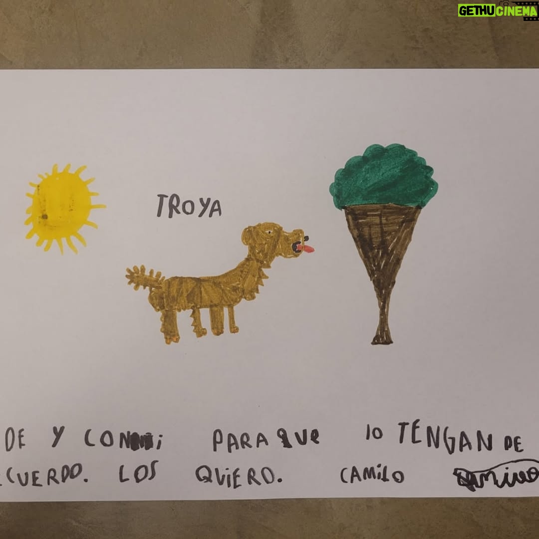Connie Ballarini - 100.3K Likes - Se me fue Troyita, la reina de la dulzura… 
Nunca conocí perrita más buena y dulce que vos Troyita hermosa 
Pasó un día de tu partida y yo no puedo más de tristeza, de extrañarte… no sé cómo hacer, te sigo buscando, te sigo encontrando en la casa con tus pelitos, en tus juguetes, tu camita, en tu mantita con tu olorcito 🥹
Es muy loco como pasaste a ser la perra de la familia ( porque eras la perrita de mi mamá q yo veía de vez en cuando cuando iba a la casa de la abuela o de mi vieja a ser MI FAMILIA 
Agradezco a la vida haberte tenido en mi vida, haberte disfrutado y cuidado. Aprendí lo lindo que se siente cuidar de otro ser y darlo todo para q esté bien 
Cuando la semana pasada en los días de chequeo Lau tu Veterinaria @veterinaria.manoba mientras te auscultaba y yo te agarraba la cabecita y te daba besitos para q no tengas miedo me dijo ‘ ay como te ama, no sabes cómo se le acelera el corazón cuando le das un beso’ … a mi se me estrujo el corazón mi bebita dulce y me pasaba lo mismo cuando me mirabas mi corazón se derretía 
Tengo el corazón destrozado pero como me dijo Lau TU Vet ayer cuando partiste, como el arte japonés hay q unir nuestro corazón roto con el amor que ellos nos dejan… y no somos los mismos.. seremos mejores por el paso de ellos en nuestras vidas 
Gracias por pasar por mi vida Troyi y volverla más dulce, más simple, más amorosa…. 
Pensé q te ibas en Enero, te lloré todo enero pero no, la peleaste y seguiste dándolo todo y todo era día a día … me enseñaste a agradecer cada momento juntas, a disfrutar del estar, de una caricia, de dar una vueltita a la manzana, todo lo cotidiano, lo ordinario me enseñaste a q sea extraordinario y q la vida es eso.. cada momento es extraordinario y me llenaron de felicidad a pesar del dolor … x tantos momentos juntas vividos que quedarán para siempre en mi corazón 
Si hay un cielo de perritos, ahí está yendo la más dulce de todas, recibanla con amor, con masajitos y con churrasquitos bien jugosos como le gustan a ella … ah y q no llueva xq le da miedito 🥹 
Te amamos por siemore tu familia India, @fedesimonetti , Egipto ( aunque viva donde quiera en el edificio) y yo tu mamá de los últimos años
🫶