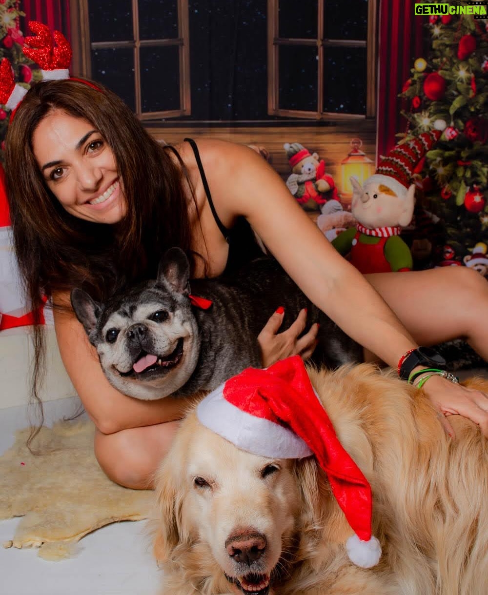 Connie Ballarini - 125.3K Likes - Por siempre en mi corazón  India de mi vida 
💔💔💔💔💔
Quiero recordarte así riendo a carcajadas juntas pero hoy tengo el corazón destrozado…. sin entender, sin poder procesar todo esto tan repentino.  Por momentos siento q me voy a despertar de esta pesadilla y vas a estar ahí en mis pies acurrucada y roncando.  Hoy me desperté y no estabas y el vacío es enorme … Que falta me haces, que rara la vida sin vos, sin presentes pero con recuerdos hermosos q ahora me hacen llorar a lágrimas pero q dsp deseo de corazón q se vuelvan hermosos y llenos de amor y sonrisas.. porque eso es lo q me diste todos estos años.  Amor, un amor que no conocía y que fue el más hermoso que viví en la vida. 
Llegaste a mi vida cuando menos lo esperaba pero le diste sentido a todo… llegaste y me separé a los meses y fuiste mi compañera… luego ayer hablábamos con Fede que podríamos decir q por vos vino a vivir a casa ( para no dejarte solita tanto tiempo ) y así formamos una familia … si, vos lo hiciste… dsp como siempre con tu carisma y ese ángel hermoso que enamorabas a todos podríamos decir que enamoraste a Fede y hasta admito (y me la banco) q quieras más a Fede q a mi jajaja… yo decía ahí viene tu novio xq llegaba él y no había nada más en tu mundo… pero te amo tanto que no me importa nada y amaba que lo amarás más el… tal vez xq era tu CHEFF personal entre otras cosas!? Puede ser, y lo entiendo hijita … como no entenderte la comida rica nos puede como todas taurinas
)Hoy sería tu cumpleaños… quedaron los bonetes del cumple de Troyi ahí para tu festejo 🥹 q no será acá pero ojalá estés robándole la comida a todos los perritos en el cielo, agarrando pelotitas y tirándote los peditos más hermosos del universo. Que el cielo se llene de peditos tuyos. 
No pasó ni un día y esto se pone difícil mi amor….
Lo q te extrañamos, lo q te necesito…. Llegaste de manera sorpresiva y te fuiste igual xq nunca imaginé que iba a ser así tan rápido, de repente xq para mí estabas bien, viejita pero te la re bancabas … perdón mi amor si cometí algún error, no quise dejarte solita en la internacion… sabes q quería meterme en la jaulita con vos si era posible. 
…( sigue abajo )