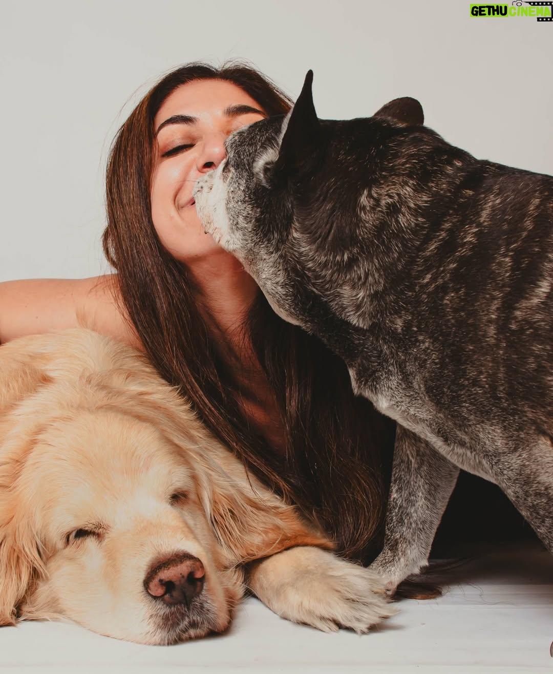 Connie Ballarini - 125.3K Likes - Por siempre en mi corazón  India de mi vida 
💔💔💔💔💔
Quiero recordarte así riendo a carcajadas juntas pero hoy tengo el corazón destrozado…. sin entender, sin poder procesar todo esto tan repentino.  Por momentos siento q me voy a despertar de esta pesadilla y vas a estar ahí en mis pies acurrucada y roncando.  Hoy me desperté y no estabas y el vacío es enorme … Que falta me haces, que rara la vida sin vos, sin presentes pero con recuerdos hermosos q ahora me hacen llorar a lágrimas pero q dsp deseo de corazón q se vuelvan hermosos y llenos de amor y sonrisas.. porque eso es lo q me diste todos estos años.  Amor, un amor que no conocía y que fue el más hermoso que viví en la vida. 
Llegaste a mi vida cuando menos lo esperaba pero le diste sentido a todo… llegaste y me separé a los meses y fuiste mi compañera… luego ayer hablábamos con Fede que podríamos decir q por vos vino a vivir a casa ( para no dejarte solita tanto tiempo ) y así formamos una familia … si, vos lo hiciste… dsp como siempre con tu carisma y ese ángel hermoso que enamorabas a todos podríamos decir que enamoraste a Fede y hasta admito (y me la banco) q quieras más a Fede q a mi jajaja… yo decía ahí viene tu novio xq llegaba él y no había nada más en tu mundo… pero te amo tanto que no me importa nada y amaba que lo amarás más el… tal vez xq era tu CHEFF personal entre otras cosas!? Puede ser, y lo entiendo hijita … como no entenderte la comida rica nos puede como todas taurinas
)Hoy sería tu cumpleaños… quedaron los bonetes del cumple de Troyi ahí para tu festejo 🥹 q no será acá pero ojalá estés robándole la comida a todos los perritos en el cielo, agarrando pelotitas y tirándote los peditos más hermosos del universo. Que el cielo se llene de peditos tuyos. 
No pasó ni un día y esto se pone difícil mi amor….
Lo q te extrañamos, lo q te necesito…. Llegaste de manera sorpresiva y te fuiste igual xq nunca imaginé que iba a ser así tan rápido, de repente xq para mí estabas bien, viejita pero te la re bancabas … perdón mi amor si cometí algún error, no quise dejarte solita en la internacion… sabes q quería meterme en la jaulita con vos si era posible. 
…( sigue abajo )
