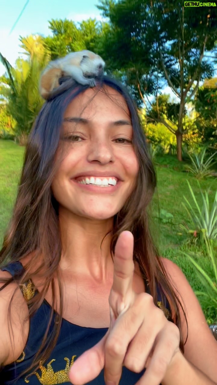 Cynthia Aparecida - 133.2K Likes - VOLTO DAQUI 7 DIAAAAAS 🫶🏼 ✨🌳 (me desejem luz)