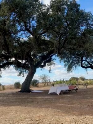 Débora Bloch Instagram - O descanso da guerreira.
Herdade da Malhadinha Nova, no Alentejo. Um lugar deslumbrante. Conforto, bom gosto, gentileza, simpatia, comida deliciosa, vinhos incríveis e paz. Obrigada @malhadinhanova, Rita e João, pela acolhida maravilhosa. Obrigada, @franciscaprpereira.