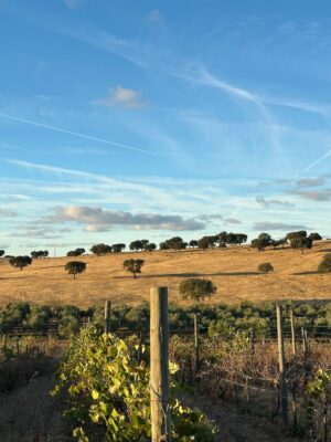 Débora Bloch Instagram - O descanso da guerreira.
Herdade da Malhadinha Nova, no Alentejo. Um lugar deslumbrante. Conforto, bom gosto, gentileza, simpatia, comida deliciosa, vinhos incríveis e paz. Obrigada @malhadinhanova, Rita e João, pela acolhida maravilhosa. Obrigada, @franciscaprpereira.