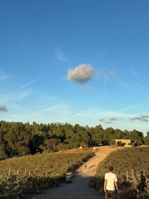 Débora Bloch Instagram - O descanso da guerreira.
Herdade da Malhadinha Nova, no Alentejo. Um lugar deslumbrante. Conforto, bom gosto, gentileza, simpatia, comida deliciosa, vinhos incríveis e paz. Obrigada @malhadinhanova, Rita e João, pela acolhida maravilhosa. Obrigada, @franciscaprpereira.
