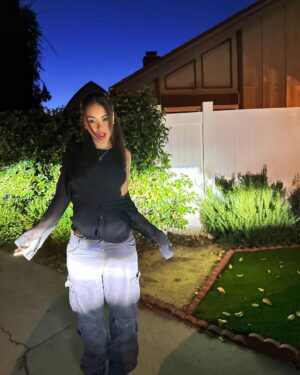 Devenity Perkins Instagram - passenger princess fr