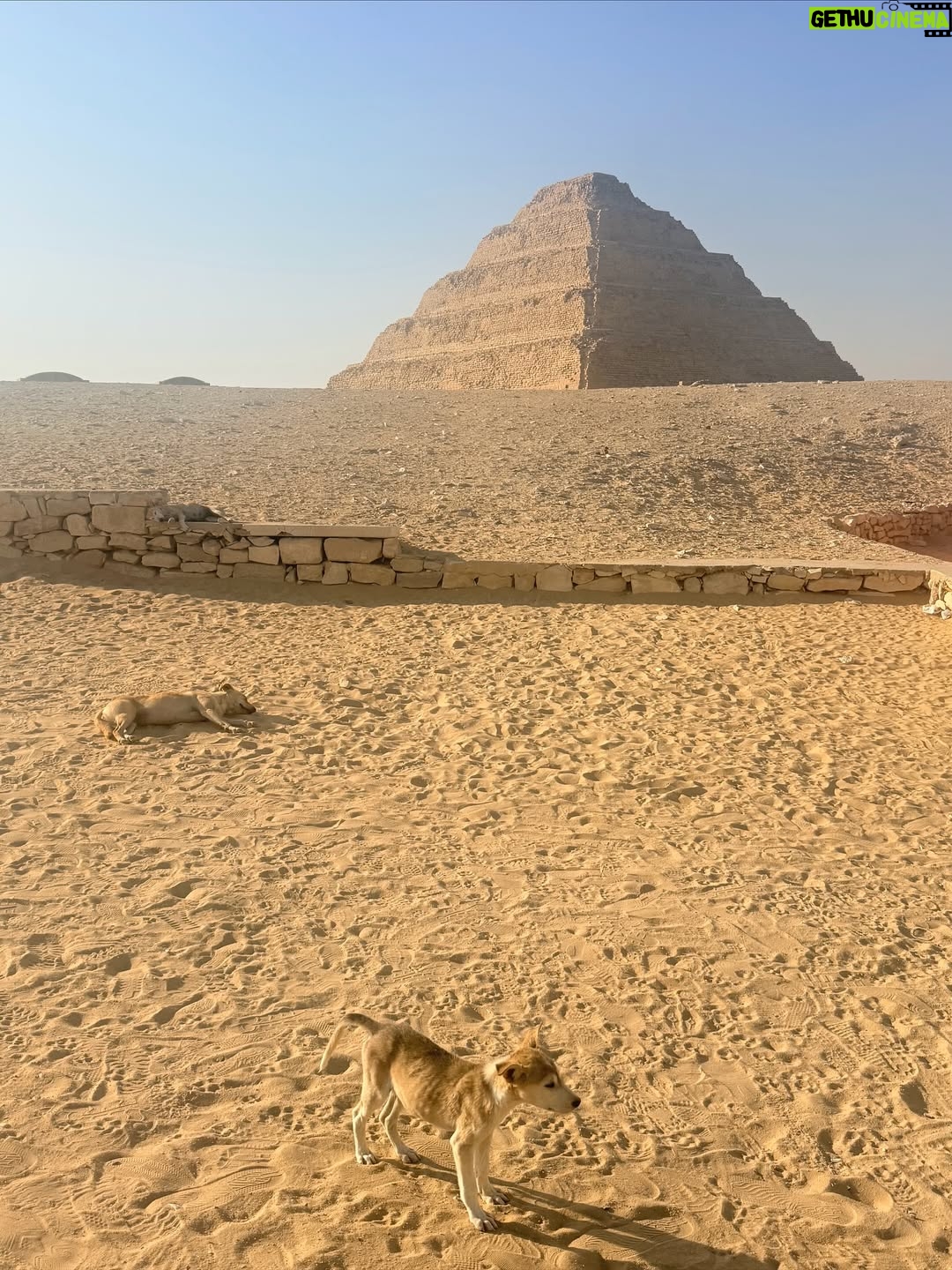 Élodie Gossuin - 31.5K Likes - C’était notre rêve à 2 … 
Devenu notre rêve à 6 … 
On a attendu que nos 4 aventuriers rêvent de pharaons et de  pyramides 🤩

Des années à en rêver, en parler, imaginer . Et c’est encore plus fort que ça. Merci l’Égypte, on se sent si petits et si grands à la fois grâce à toi 𓋹

Merci @autourdesduneshurghada pour l’orga et le guide de rêve 
#CollaborationCommerciale