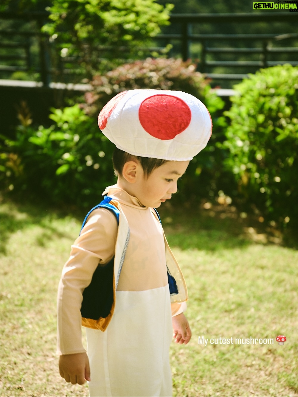 Elva Ni Chen-Xi - 18.6K Likes - Mario family is here for 2025 Halloween 👻
每年的傳統當然要延續下去
這次大家自選人物
老二首當其衝選了蘑菇 他平時也很喜歡吃蘑菇
老大看到了家裡的yoshi帽子 就ok了做yoshi 簡單易行
老三沒得選 由爸爸決定做他的小跟班🤣 小魔怪
我本來想做公主但被爸爸拒絕
爸爸說媽媽一定要做mario 
因為mario是主角
那本公主就勉為其難的做主角吧🤪
#happyhalloween 
#halloweenfamilycostume 
#萬聖節 
📸 @lavonnli