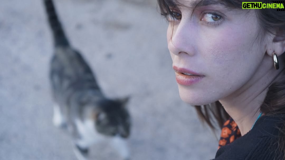 Gözde Mutluer - 2.8K Likes - 🐈🐈🐈🐈🐈🐈🐈🐈🐈🐈 bir sürü kedili fotoğrafım var ne yapacağım?