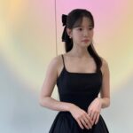 Ha Seung-lee