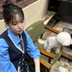 Ha Seung-lee