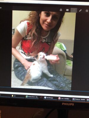 Hande Kazanova Instagram - Sen benim bi ömür gün ışığımsın!
Çok özleneceksin güzel kızım ❤️❤️❤️
#neptune #neptunthecat #loveyoutothemoonandback🌙️