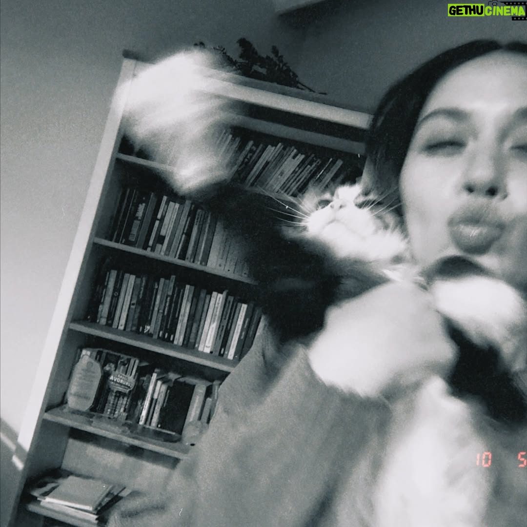 Ilayda Çevik - 4.9K Likes - life lately ya da dump’ily diyebilir miyiz? dedim gitti🫆🧞‍♂️🪬