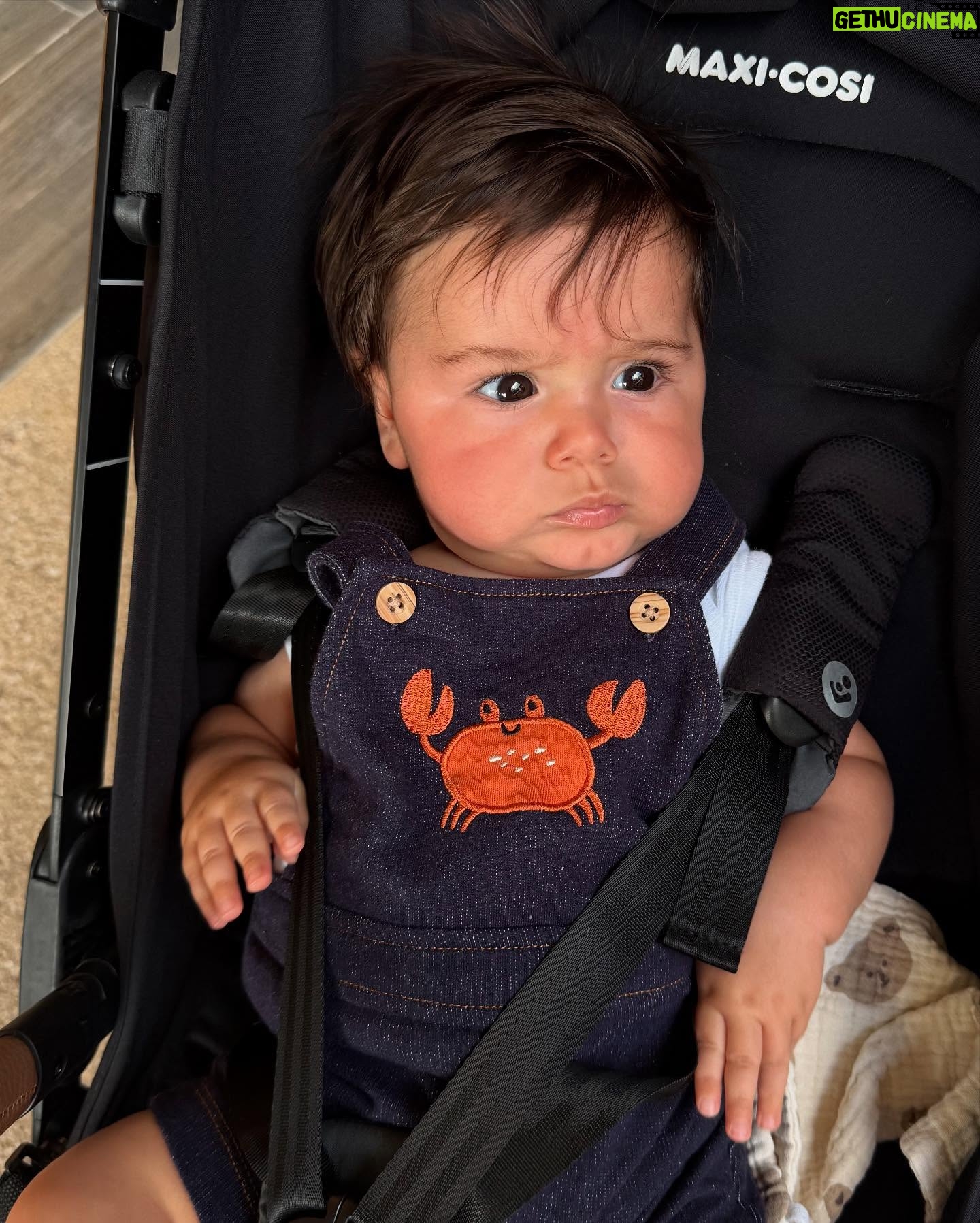 Ilean Almaguer - 52.6K Likes - Un poquito de nuestro Mayo. 🥰💙

#love #family #fyp #baby