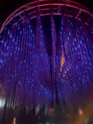 Ingrid Grudke Instagram - La noche en Japón 🇯🇵
