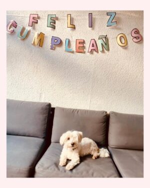 Inma Cuesta Instagram - Esta señora/adolescente cumple hoy 17 años  y no tengo vida para agradecer el tiempo compartido.
Ojalá celebremos juntas sus mayoría de edad ✨
El curioso caso de Rumba Button