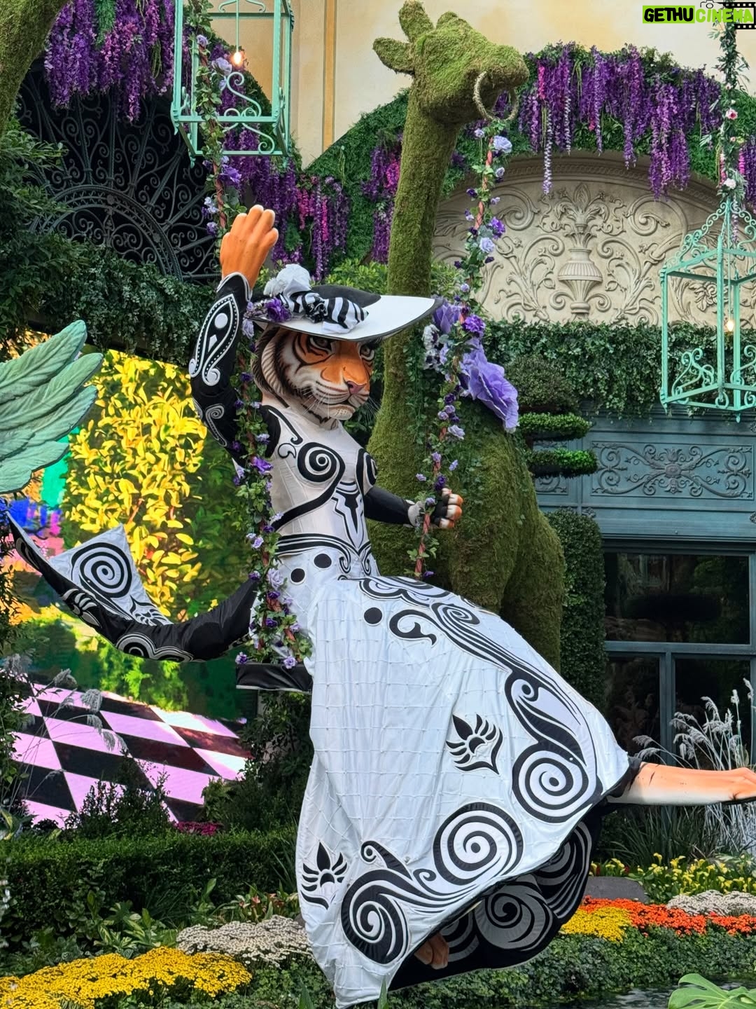 Irina Voronina - 2.8K Likes - Bellagio Gardens didn’t disappoint ! 🦓🐅🦩
#lasvegas #bellagiolasvegas #travel