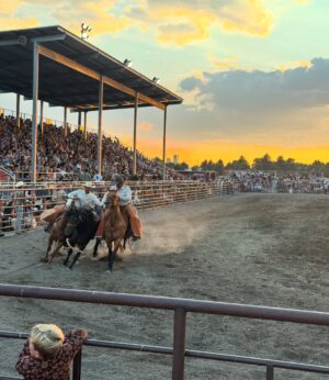 Irina Voronina Instagram - Enjoyed spending time with friends and family this summer!. 🌅🦙🗻🐎☀️ Montana summers - five stars. 🌟 Jury duty - zero stars. 👎 Do not recommend  #montana #bozeman #montanatravel #irinavoronina