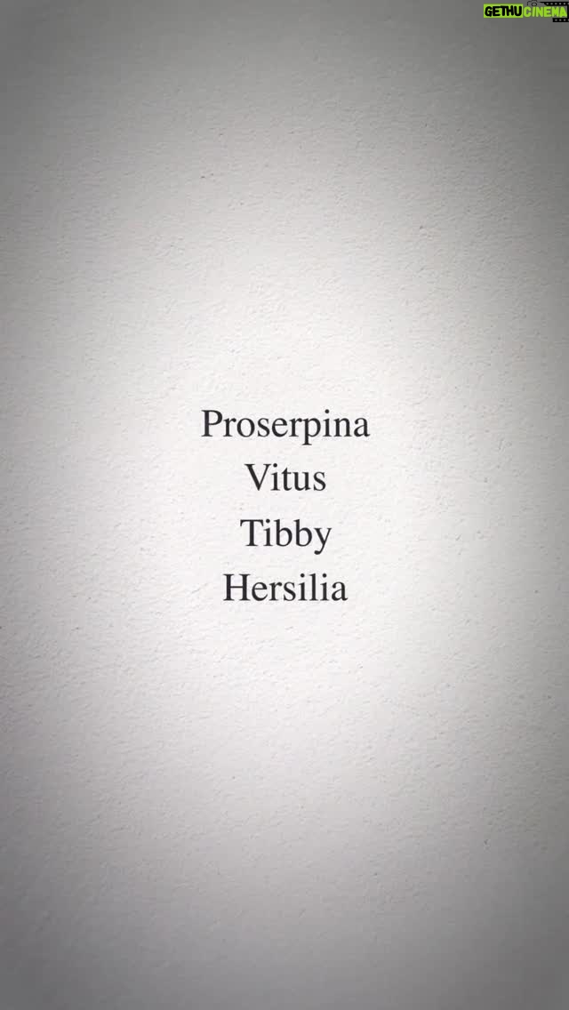 Iris Apatow - 282.4K Likes - Proserpina. Vitus. Tibby. Hersilia.

The Hunger Games: Sunrise on the Reaping – in theaters November 20, 2026.