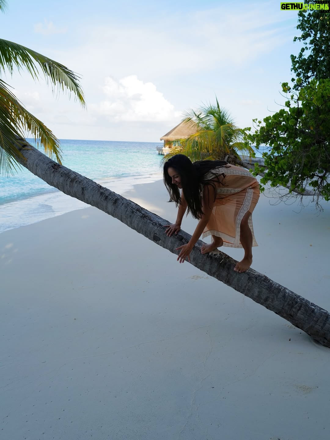 Janina Uhse - 7.3K Likes - Robinson Uhso auf der Suche nach dem perfekten Urlaubsbild 🌴☀️🕵️‍♀️