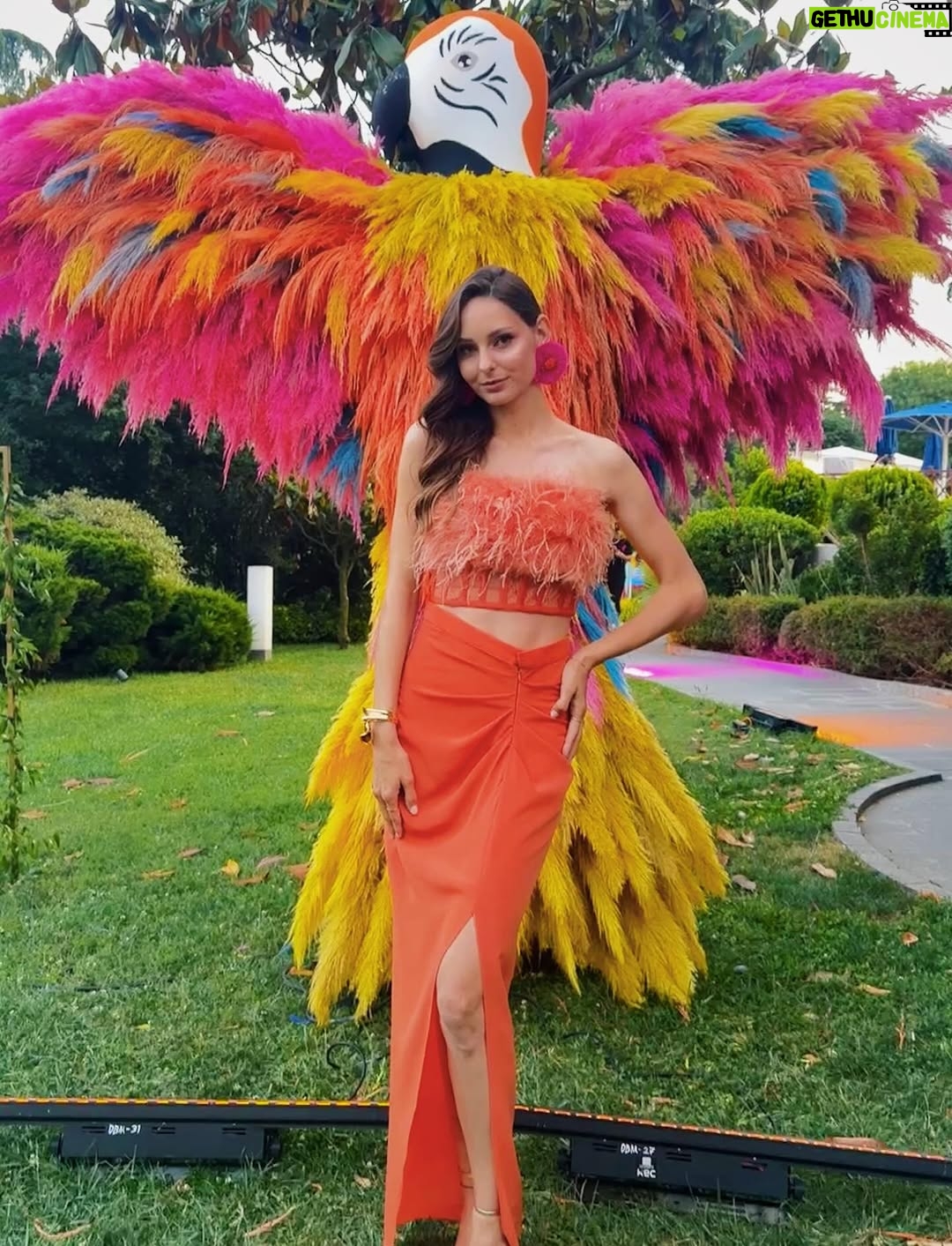 Jessica May - 19.8K Likes - Bugün İstanbul’da Rio Karnavalı rüzgarlı esti. 💚💛💙 
Bu unutulmaz akşam için @migros_tr ailesine teşekkür ederiz. 🪅

Bu güzel akşama hazırlanmam için yardımcı olan sevgili @barrus__official ailesine ve @essalonhairandbeauty ekibine ayrıca çok teşekkür ederim. İyi ki varsınız 🫶🏻❤️

Carnaval em Istambul 🎉

#seniniçinfestivali
#migrosseniniçin
#migrosileiyisin
#reklam #işbirliği