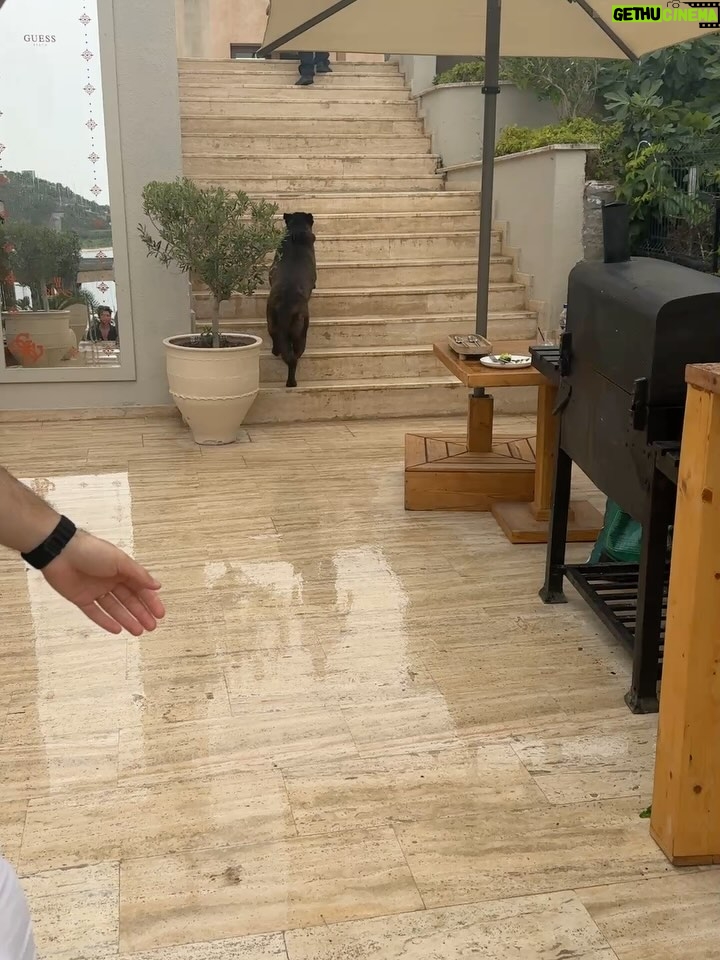 Jessica May - 21.6K Likes - Sezonun ilk keteni giyildiğine göre resmi olarak yaz sezonu açılmıştır ☀️❤️ 

#davet #summer