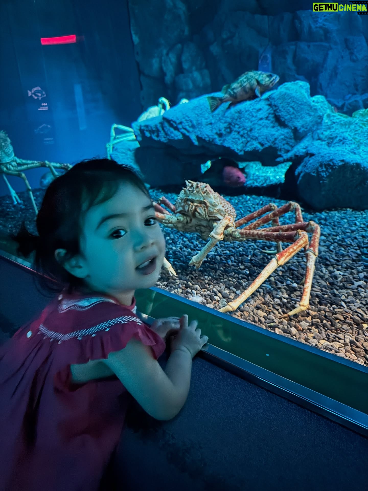 Julie Estelle - 13.6K Likes - A special day celebrating Brielle🎂🎈🥳
In a blink of an eye you turned 2🥹 You are our little sunshine my baby girl❤️ Happy birthday! Je t’aime😘