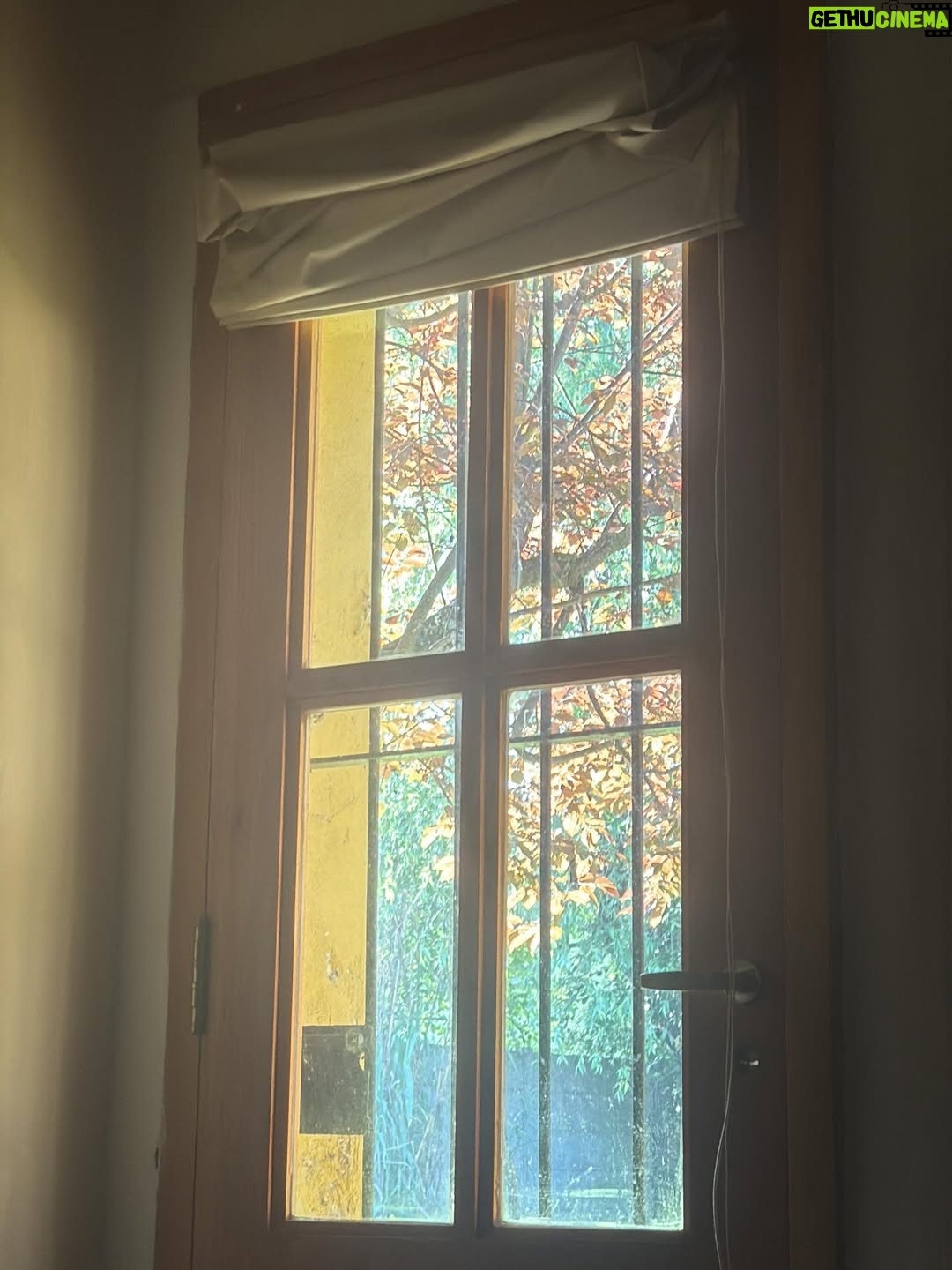 Julieta Díaz - 12.5K Likes - Gracias @casalaniata por tanta paz y amor en mi finde de lunes y martes 🏡

Gracias amiga del alma @beacanciomm 🙏🏽

Nino te amo ❤️

No dejen de conocer ese hogar paraíso 🍃