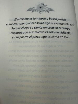Julieta Díaz Instagram - Gracias @casalaniata por tanta paz y amor en mi finde de lunes y martes 🏡

Gracias amiga del alma @beacanciomm 🙏🏽

Nino te amo ❤️

No dejen de conocer ese hogar paraíso 🍃