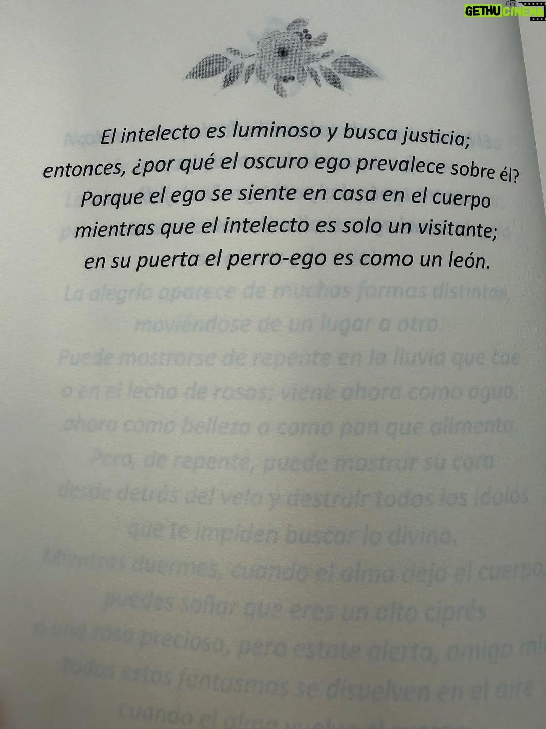 Julieta Díaz - 12.5K Likes - Gracias @casalaniata por tanta paz y amor en mi finde de lunes y martes 🏡

Gracias amiga del alma @beacanciomm 🙏🏽

Nino te amo ❤️

No dejen de conocer ese hogar paraíso 🍃