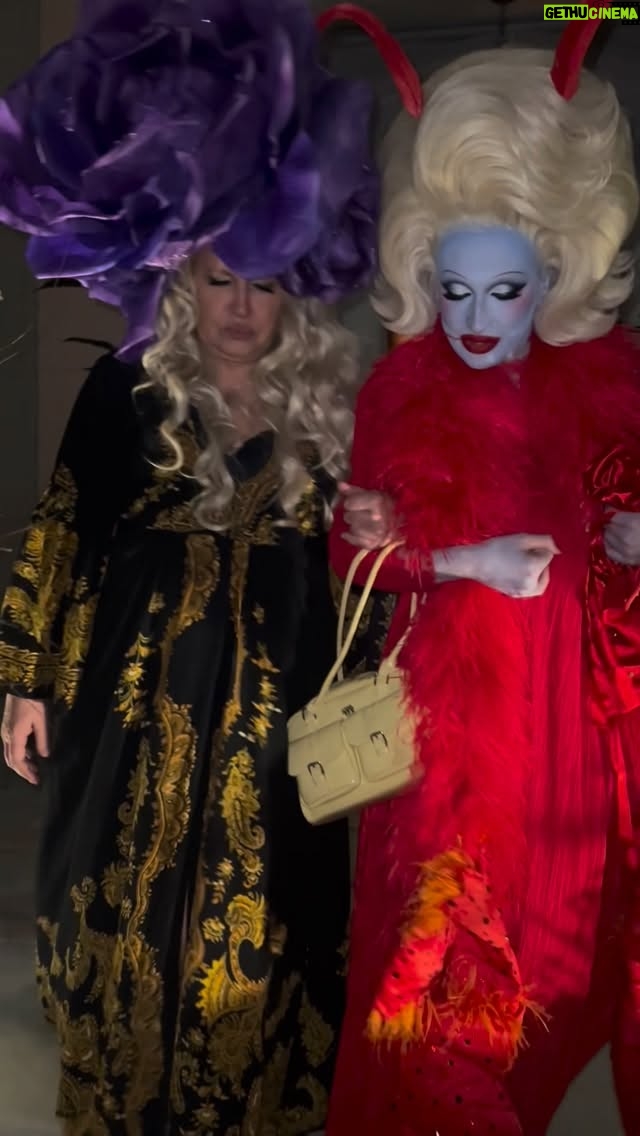 Juno Birch - 81.6K Likes - @jennifercoolidge ❤️