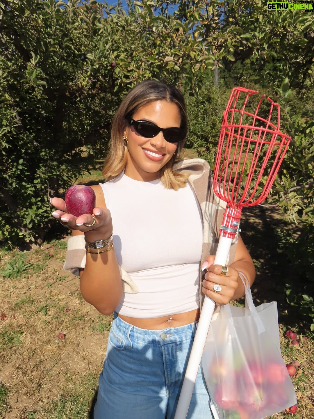 Kamie Crawford - 87.6K Likes - A wish come true 🎂🦂💍🥂 - had such a great week turning 33, I forgot to post about it but here we are 😂🥹🍎