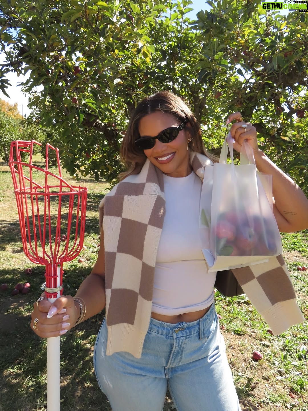 Kamie Crawford - 87.6K Likes - A wish come true 🎂🦂💍🥂 - had such a great week turning 33, I forgot to post about it but here we are 😂🥹🍎