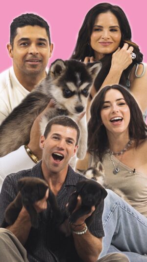 Katrina Law Instagram - To celebrate NCIS Tuesdays, we invited @WilmerValderrama, @AmStowell, @KatrinaLaw, and @MarielMolino to play with the cutest husky puppies we’ve ever seen. Watch the full interview—then catch them back-to-back every Tuesday starting at 8 PM on CBS. #WilmerValderrama #AustinStowell #KatrinaLaw #MarielMolino  #NCIS #NCISOrigins #NCISSydney #NCISTuesday