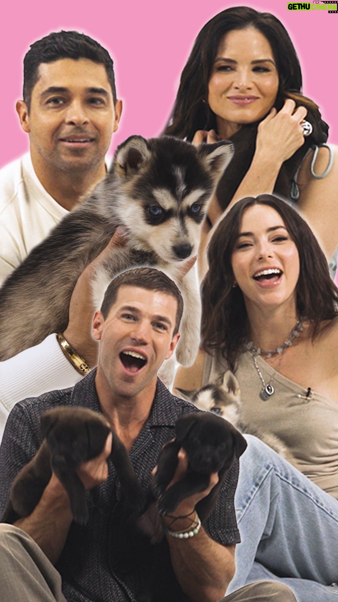 Katrina Law - 11.8K Likes - To celebrate NCIS Tuesdays, we invited @WilmerValderrama, @AmStowell, @KatrinaLaw, and @MarielMolino to play with the cutest husky puppies we’ve ever seen. Watch the full interview—then catch them back-to-back every Tuesday starting at 8 PM on CBS. #WilmerValderrama #AustinStowell #KatrinaLaw #MarielMolino  #NCIS #NCISOrigins #NCISSydney #NCISTuesday