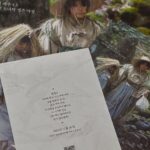 Kim Hyang-gi