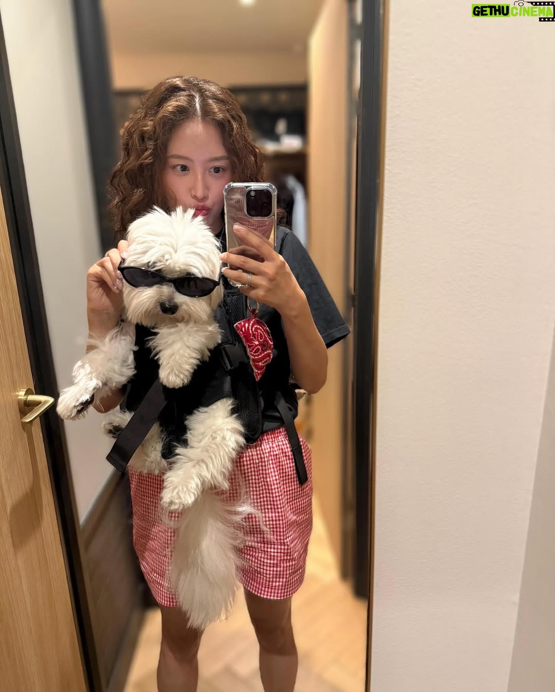 Kim Jae-kyung - 12.7K Likes - 😎🐶🚲🇫🇷