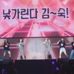 Kim Sook