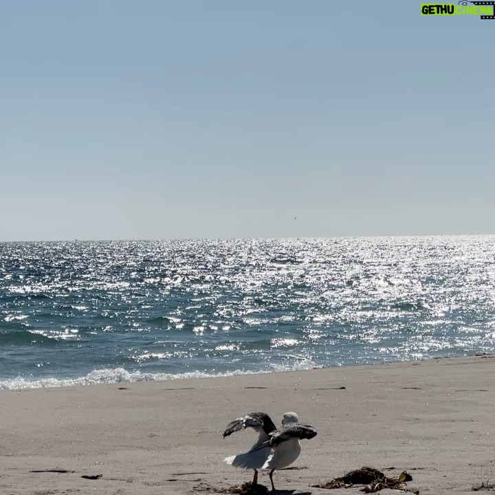 Larsen Thompson - 5.7K Likes - pit stop down pch🤙