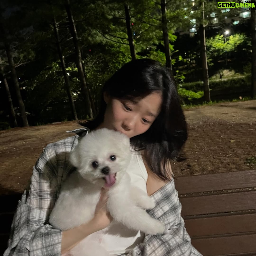 Lee So-i - 3 Likes - 누나랑 사진 좀 찍어죠🐶🥹