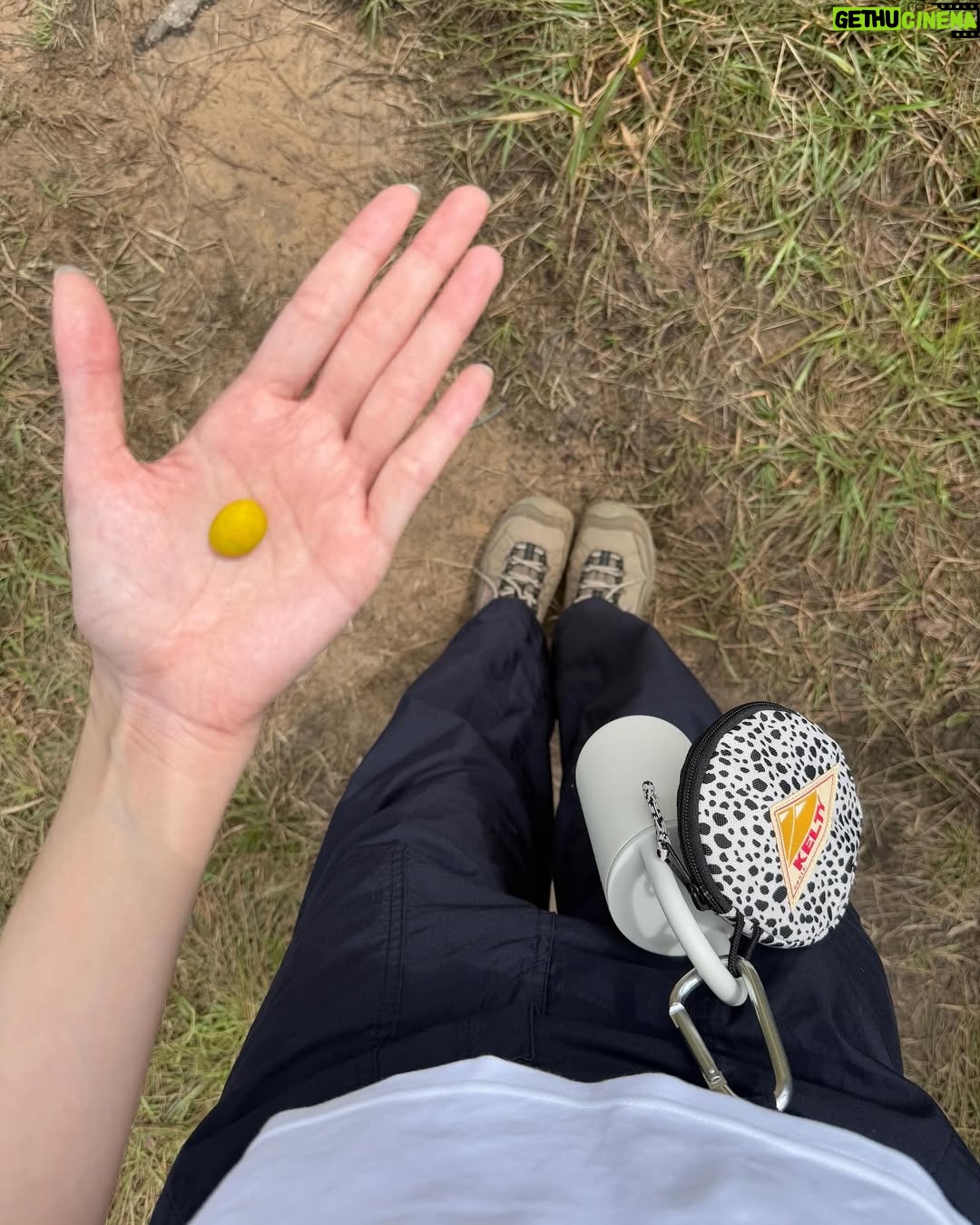 Manasaporn Chanchalerm - 122.3K Likes - Phusoidao dump  ขอรีวิวทริปด้วยรูปสุดท้าย  ไปดูที่ช่องพี่ๆเค้าได้เลยค่ะ ขอบคุณมาก มึงตัดกันยังไงให้กุดูแข็งแรงมาก ขอบคุณจริงๆ  ไอเลิ้บดอกไม้ ขอบคุณที่มีให้ ไม่งั้นหน้าหงิกละ