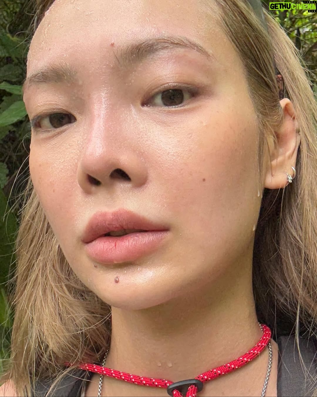 Manasaporn Chanchalerm - 122.3K Likes - Phusoidao dump  ขอรีวิวทริปด้วยรูปสุดท้าย  ไปดูที่ช่องพี่ๆเค้าได้เลยค่ะ ขอบคุณมาก มึงตัดกันยังไงให้กุดูแข็งแรงมาก ขอบคุณจริงๆ  ไอเลิ้บดอกไม้ ขอบคุณที่มีให้ ไม่งั้นหน้าหงิกละ