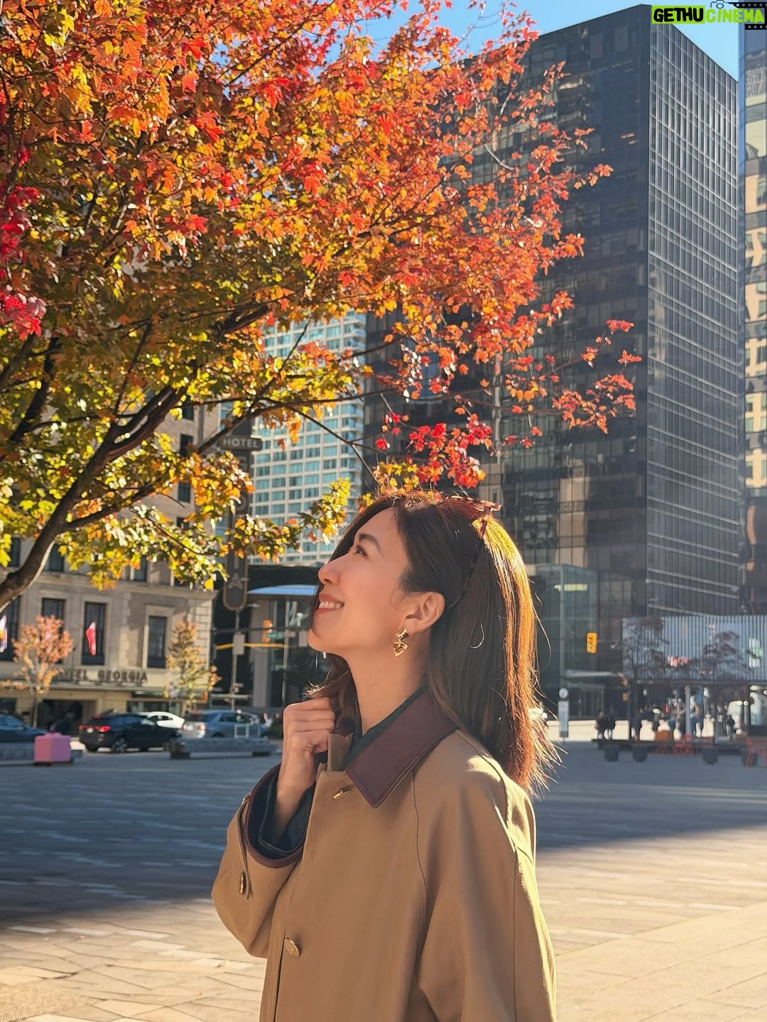 Mandy Wong - 15.8K Likes - Moments in 🇨🇦 🍂 🍁🍁
隨時隨地都會見到楓樹

Outfits:
@sandroparis
@elleme