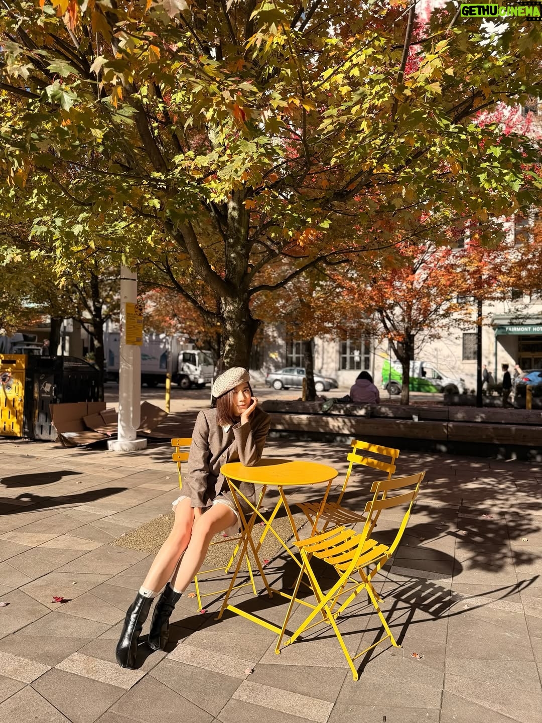 Mandy Wong - 15.8K Likes - Moments in 🇨🇦 🍂 🍁🍁
隨時隨地都會見到楓樹

Outfits:
@sandroparis
@elleme